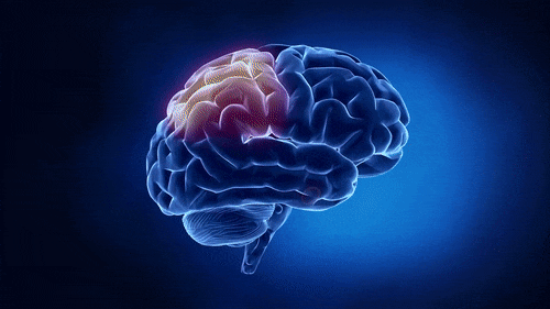 El ejercicio vs. la demencia | Muy Interesante