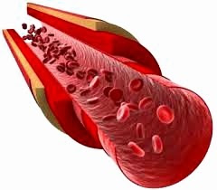 BLOG DE BIOFISICA II: TERMODINÁMICA O FÍSICA DEL FLUJO SANGUÍNEO