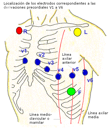 Bioinstrumentacion: Electrocardiograma